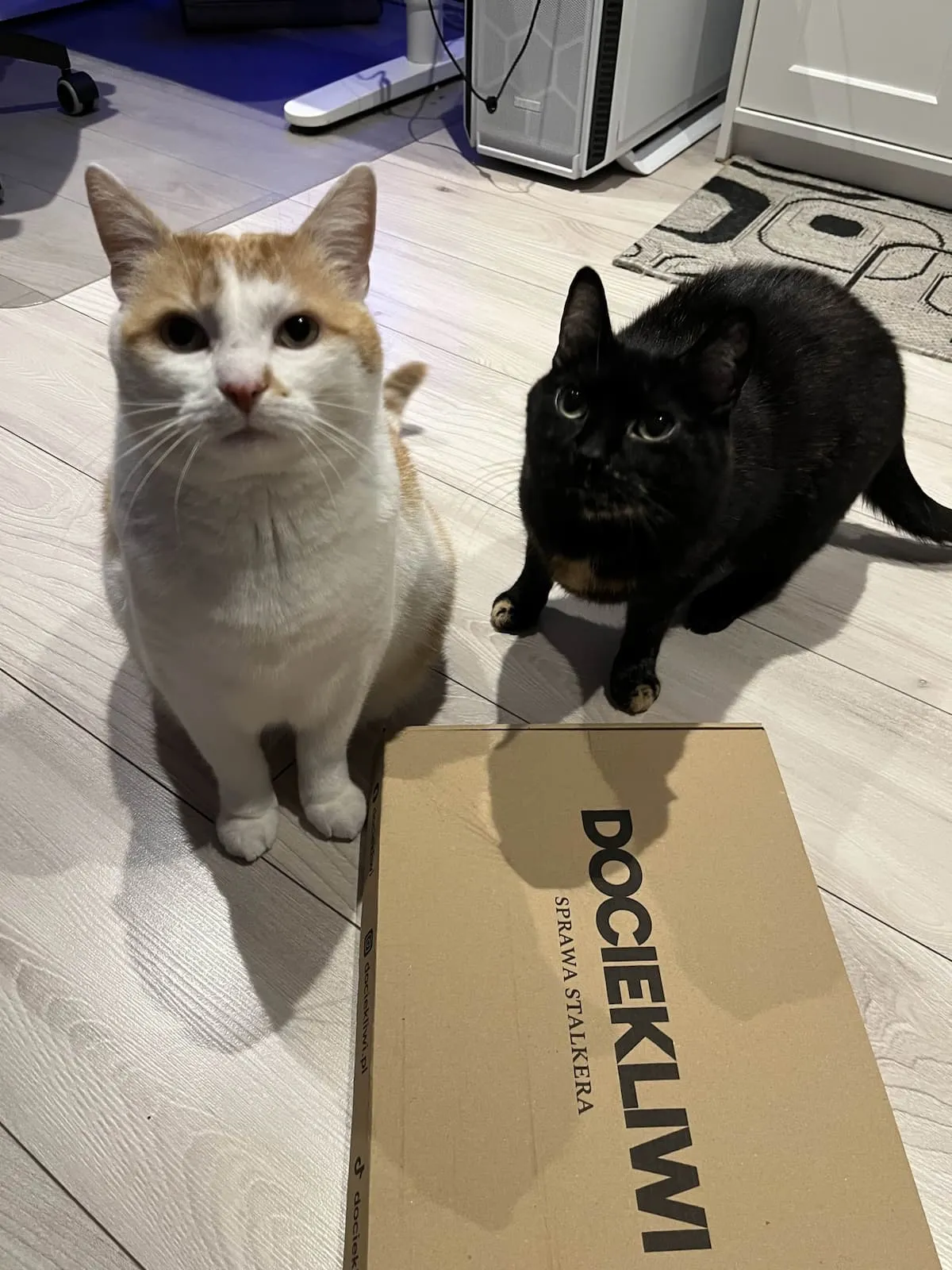 Zdjęcie z rozgrywki